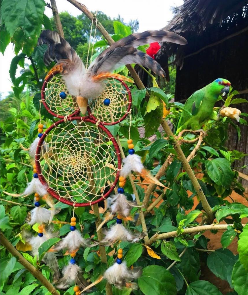 Коренная жительница племени Амазонки придумала, как подключиться к интернету в джунглях: теперь она делится необычными традициями своего народа со всем миром