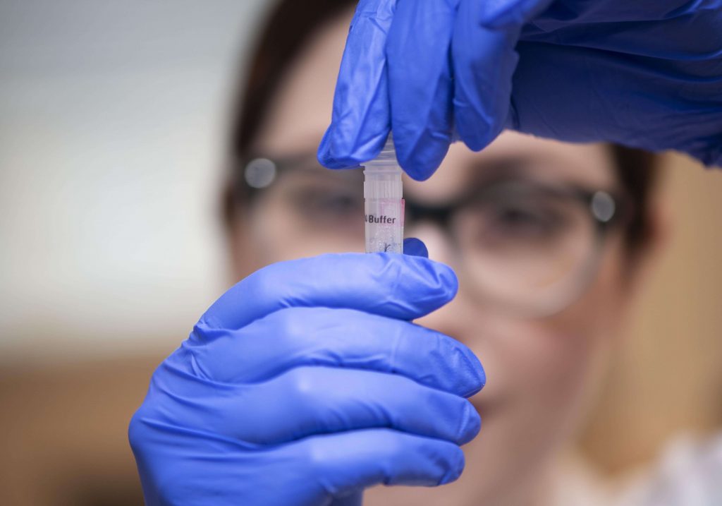 Из магнитных наночастиц и антибиотика: красноярские ученые создали уникальную мазь для лечения ожогов