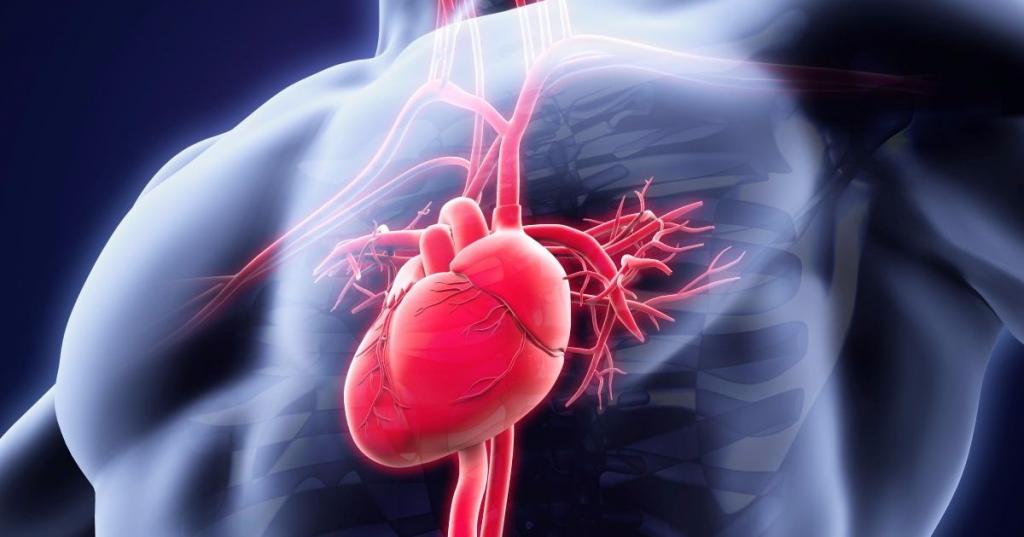 Невидимый враг: Sars-CoV-2 может вызывать проблемы с сердцем даже при отсутствии респираторных симптомов