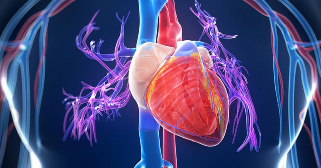 Невидимый враг: Sars-CoV-2 может вызывать проблемы с сердцем даже при отсутствии респираторных симптомов