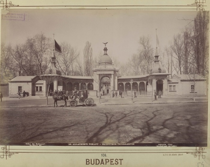Старейший венгерский зоосад выложил архивные фото: на их примере можно увидеть, как выглядели зоопарки сто лет назад (фото)