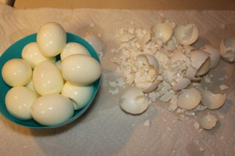 Шотландские яйца к праздничному столу: великолепно сочетаются с любым гарниром