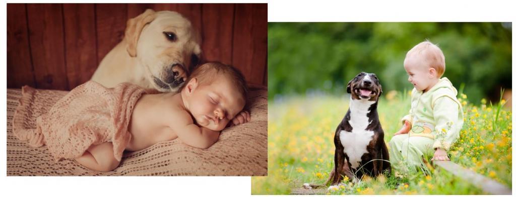 Собаки и дети составляют самую драгоценную восхитительную пару: умилительные фото