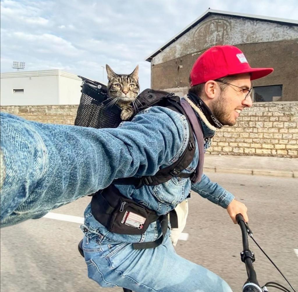 Мурлыкающий пассажир: парень приучил своего кота кататься с ним на лыжах и велосипеде