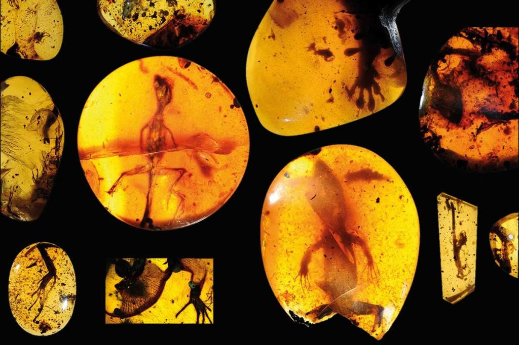 Древние амфибии охотились как хамелеоны: в янтаре обнаружен язык, которому 99 млн лет