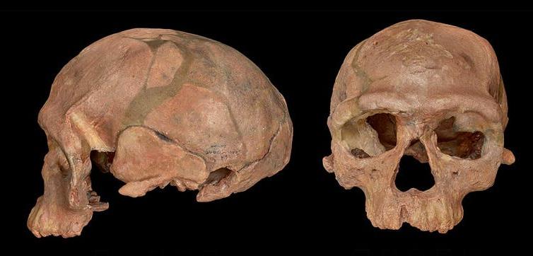 Почему древний человек не летал в космос, если современный мозг сформировался еще 350 000 лет назад