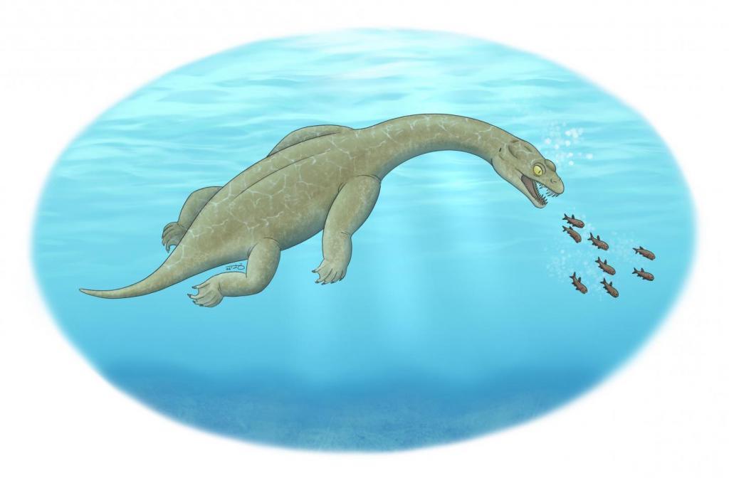 Новая доисторическая морская рептилия напоминала миниатюрную смесь Лох-Несского монстра, аллигатора и зубастого тираннозавра
