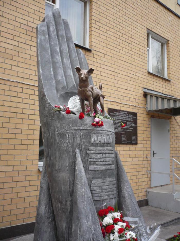 До Гагарина. Памятник Лайке