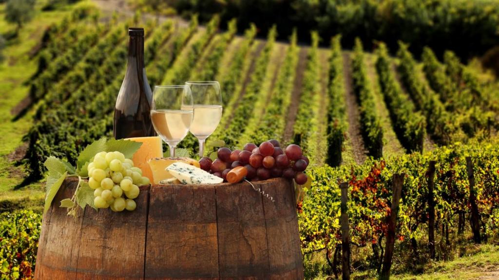 Анализ для вина: ученые разработали систему, позволяющую избавляться от подделок в сфере виноделия