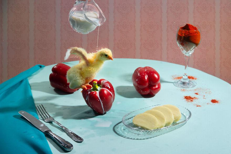 «Набери мне ванну с сосисками и луком»: чтобы показать чешскую кухню в творческом свете, фотограф снимает еду в игривой и забавной форме