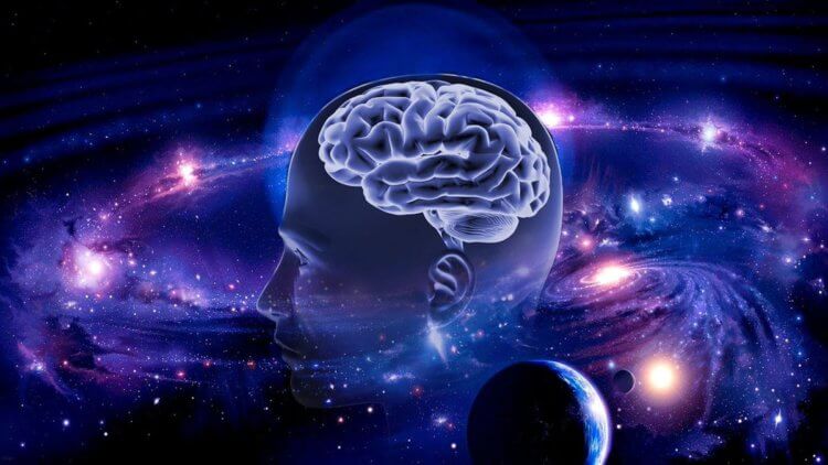 Человеческий мозг похож на Вселенную: интересные выводы ученых