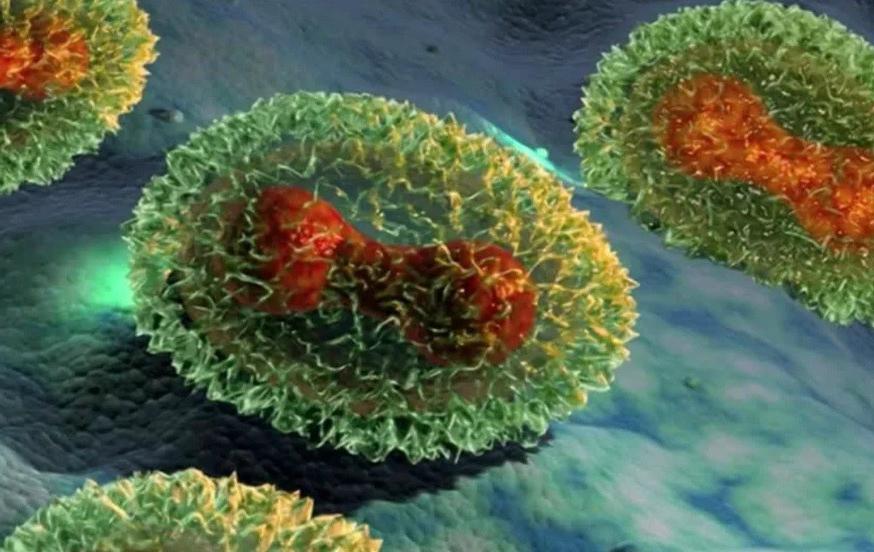 Будет ли коронавирус эволюционировать и становиться менее опасным, рассказали ученые