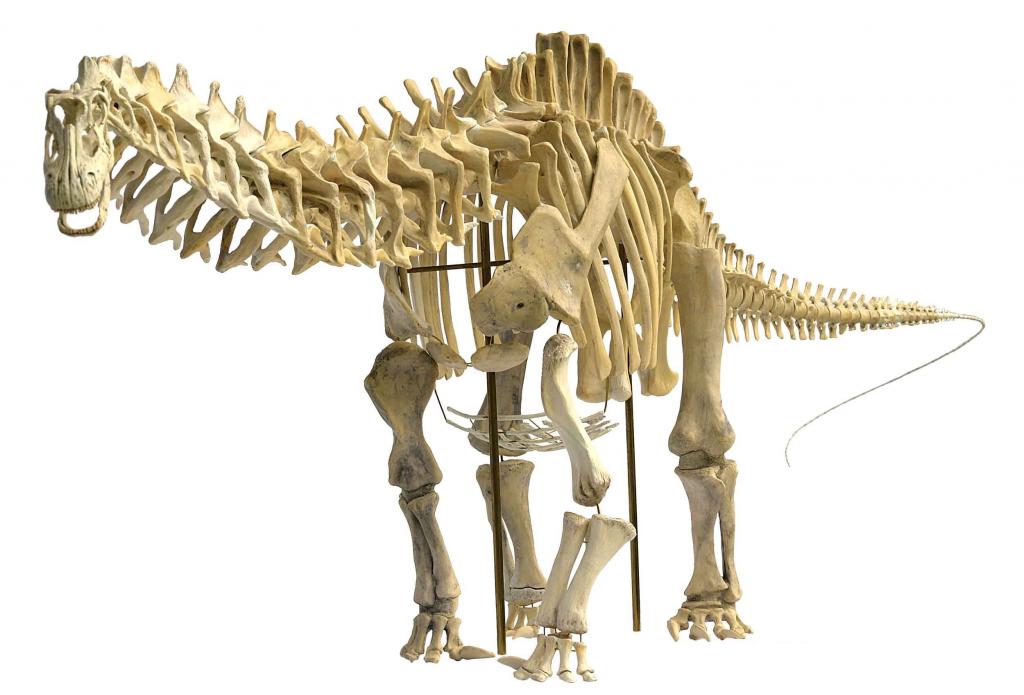Палеонтологи впервые обнаружили окаменевших паразитов в костях динозавра. И это может помочь современной медицине