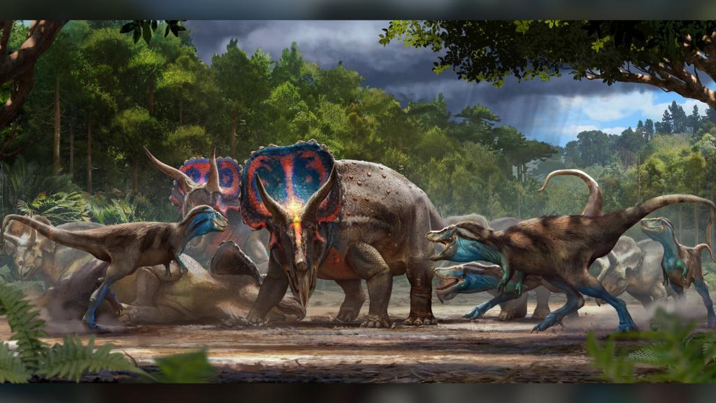 Ученые теперь смогут изучить найденные еще в 2006 году прекрасно сохранившиеся окаменелости "дуэльных" динозавров