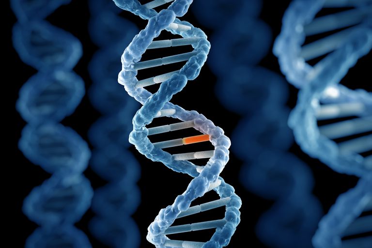 Генетическая мутация, которая не дает спать по ночам: новые исследования