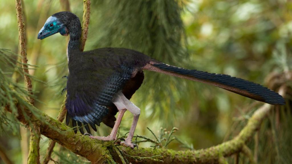 Ученые намерены возродить вымершие виды птиц с помощью кур-несушек: на сегодняшний день собрано около 17 миллиардов пар оснований ДНК