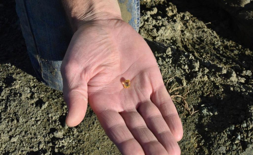 Житель Арканзаса нашел алмаз канареечно-желтого цвета: мужчина впервые посетил алмазный парк, и ему повезло