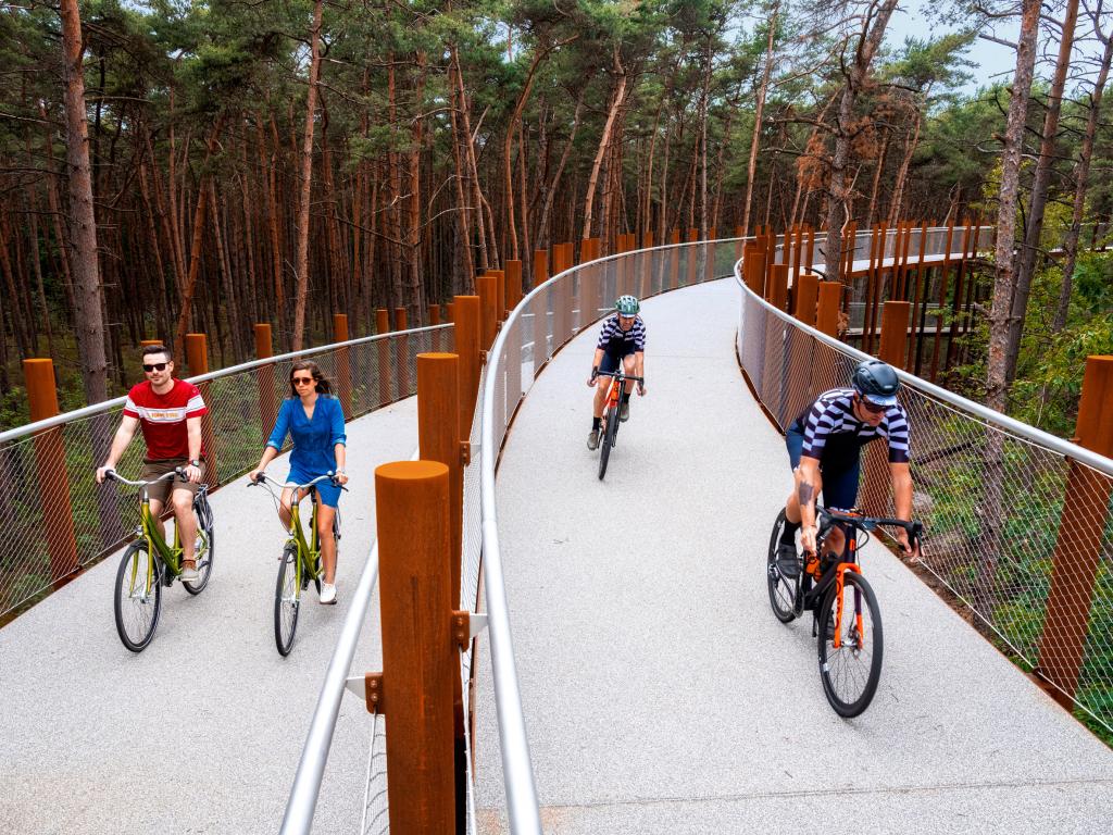 Архитекторы в Бельгии создали кольцевую велосипедную трассу прямо в лесу