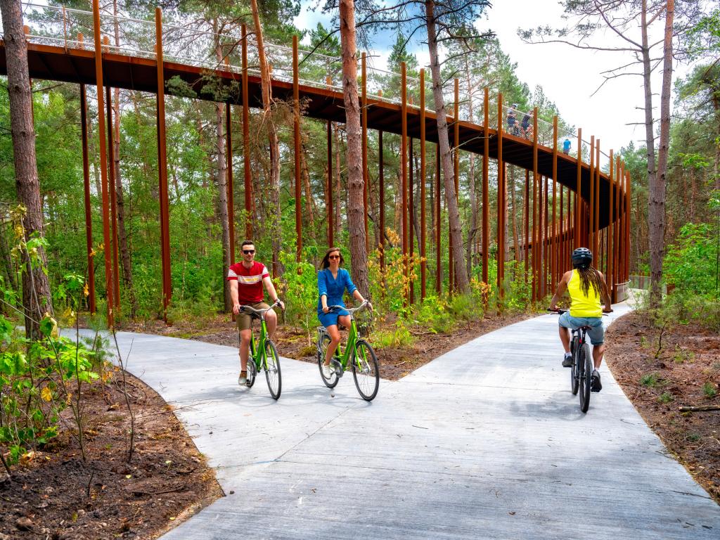 Архитекторы в Бельгии создали кольцевую велосипедную трассу прямо в лесу