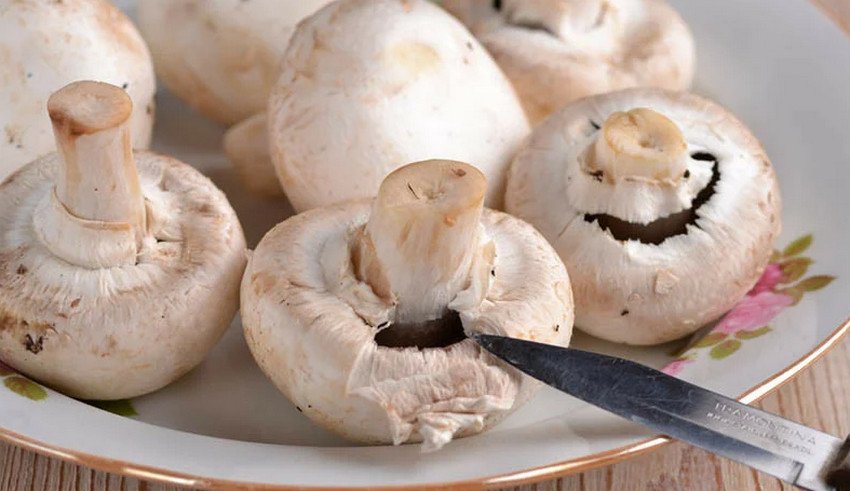 Быстрый и легкий грибной суп: рецепт можно использовать и для приготовления питательного блюда в пост