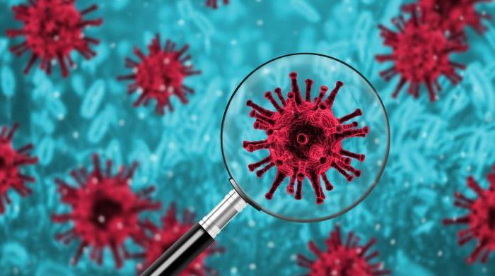 Остается тонкая пленка: ученые из Индии выяснили, как коронавирус живет на поверхности