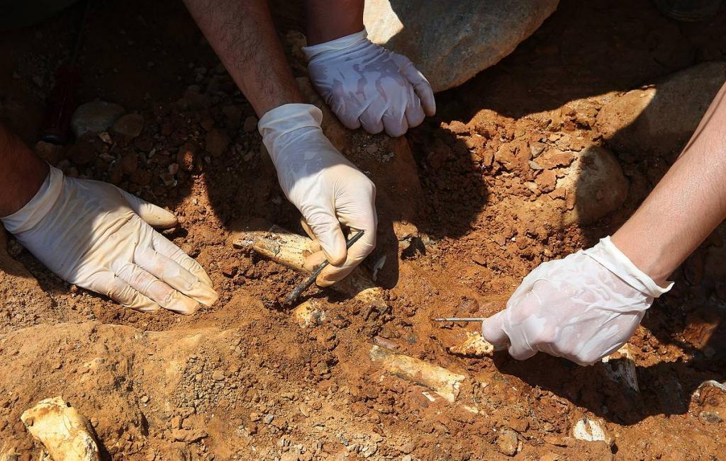 Как подделывали деньги, когда в ходу было только серебро: в Израиле археологи обнаружили 3000-летний тайник фальшивомонетчиков (фото)