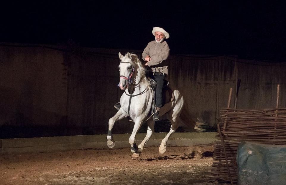 Люди и кони: в Северной Осетии спустя годы возродили единственный в России конный драматический театр