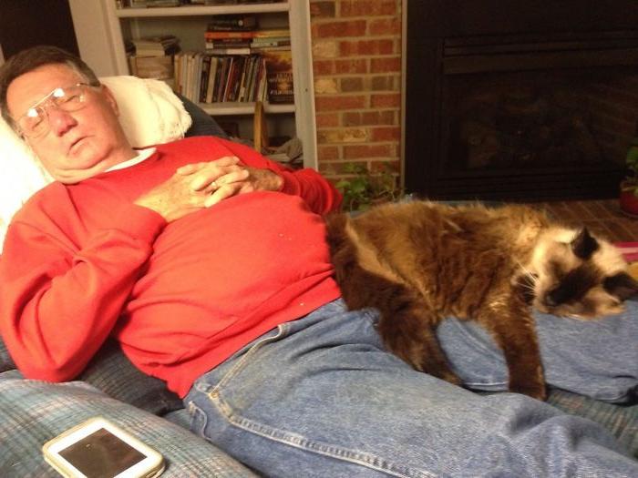 Они также заслуживают любви и заботы: владельцы пожилых котов поделились своими историями
