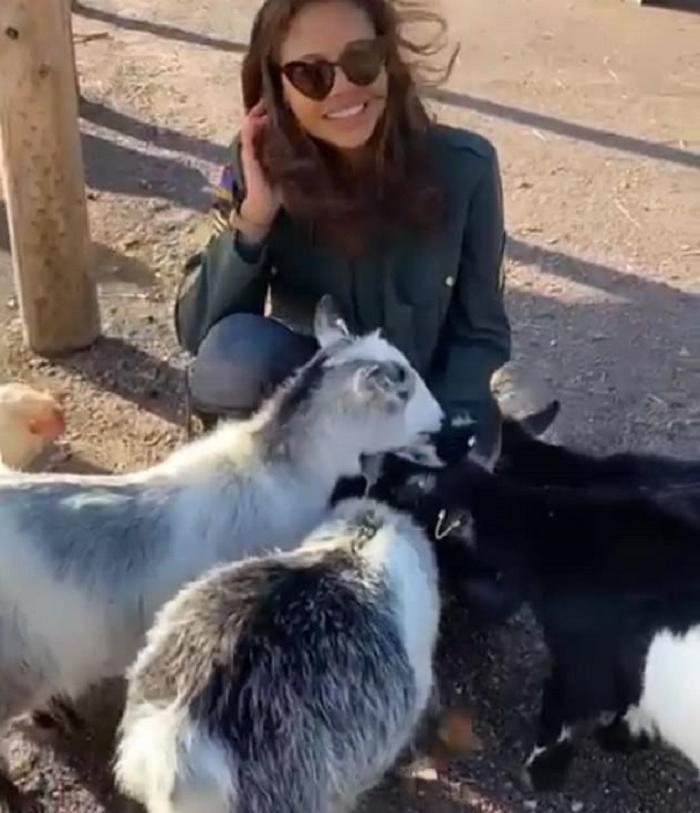 Западные знаменитости все чаще заводят в качестве домашних животных коз: журналистка объяснила, в чем их привлекательность