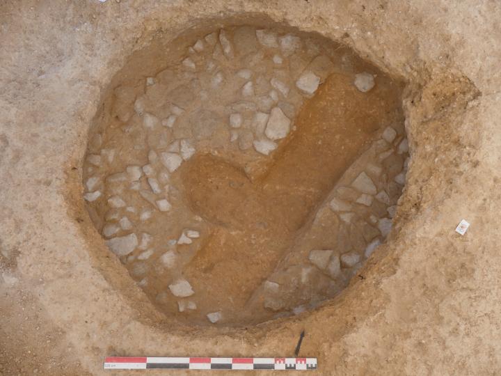 Винные плантации и печи для обжига извести эпохи бронзового века обнаружили французские археологи (фото)