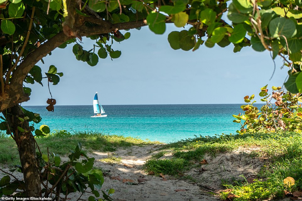 Если есть возможность, стоит съездить на Кубу: здесь тепло даже зимой, нет карантина, а белые песчаные пляжи с самым мягким песком в мире - лучшие на Карибах