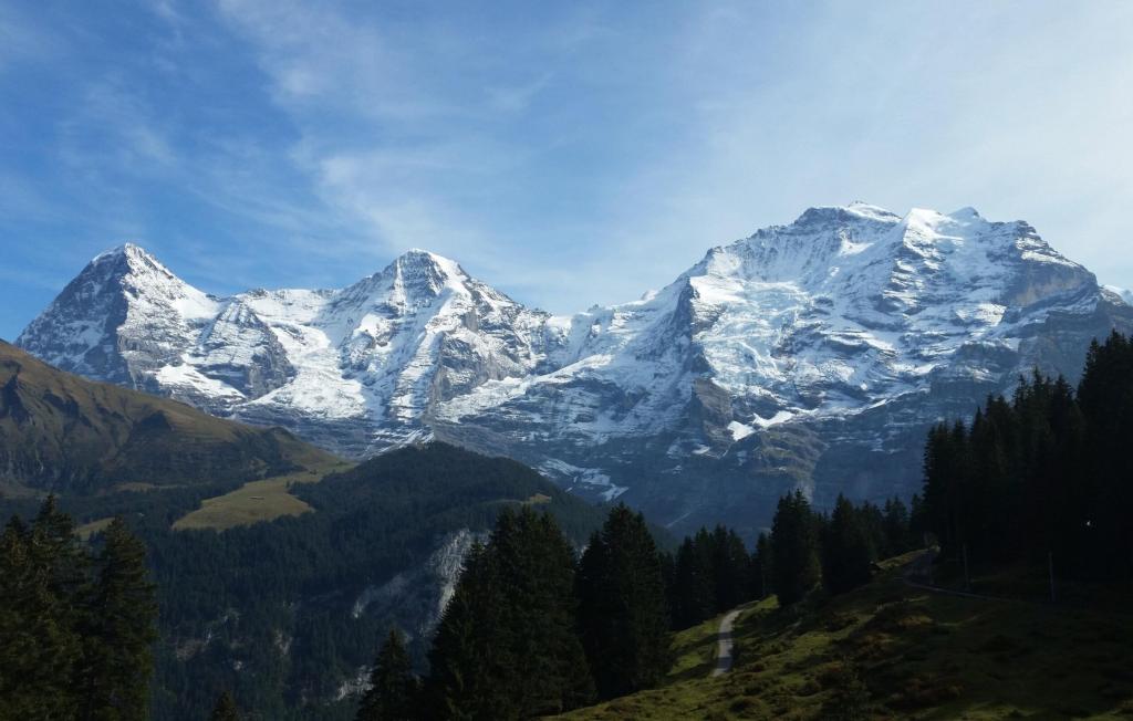 Почти на метр за тысячу лет: Швейцарские Альпы не перестают расти