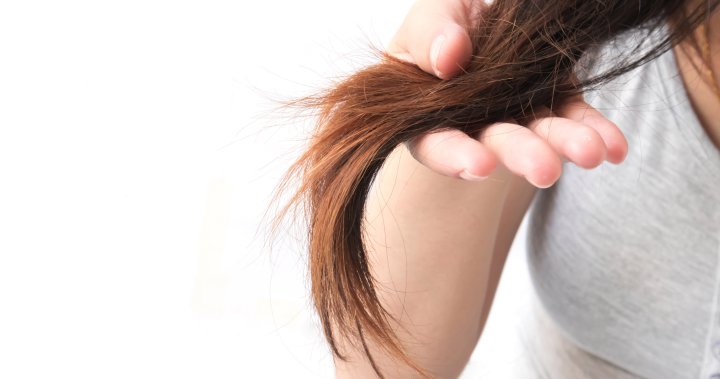 Как прическа конский хвост может навредить волосам: эксперты предостерегли женщин от распространенных ошибок