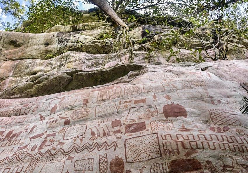 "Сикстинская капелла древних": в джунглях Амазонки обнаружено огромное количество наскальных рисунков (фото)
