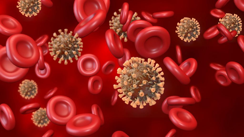 По анализу крови можно установить степень риска тяжелого течения коронавируса: новое исследование