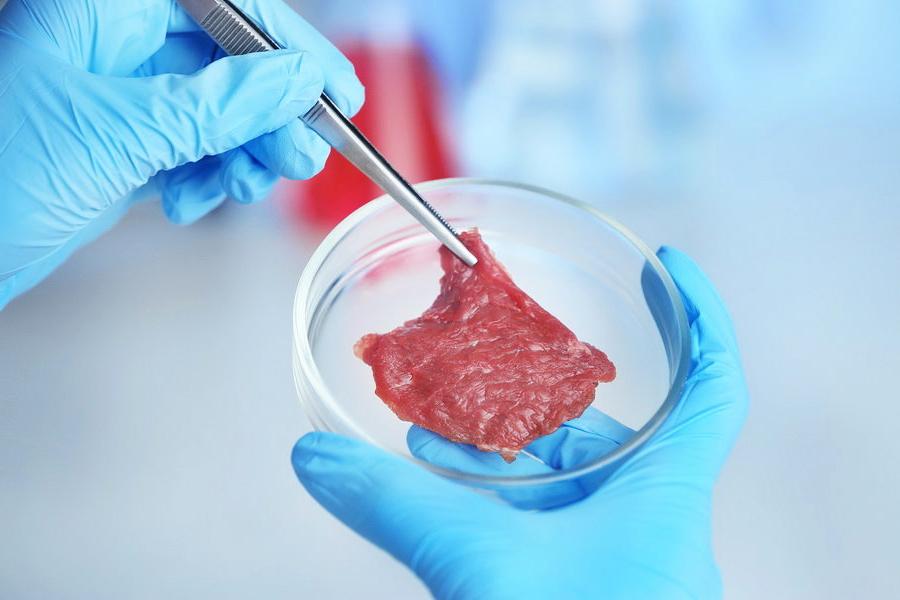 В Сингапуре впервые в мире разрешили продавать мясо, выращенное в лаборатории