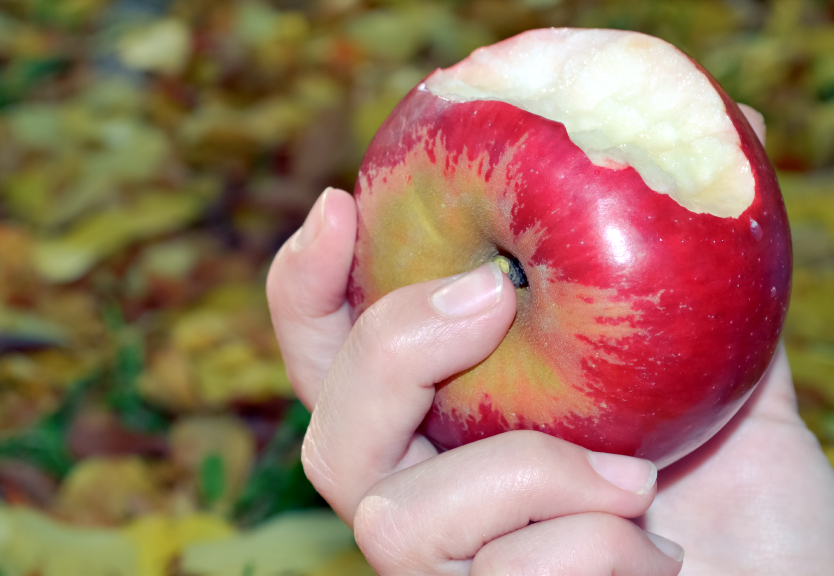 Каждый день надо съедать 10-17 мг железа: в яблоках какого сорта его больше всего (и чем вкусным можно заменить их в рационе)