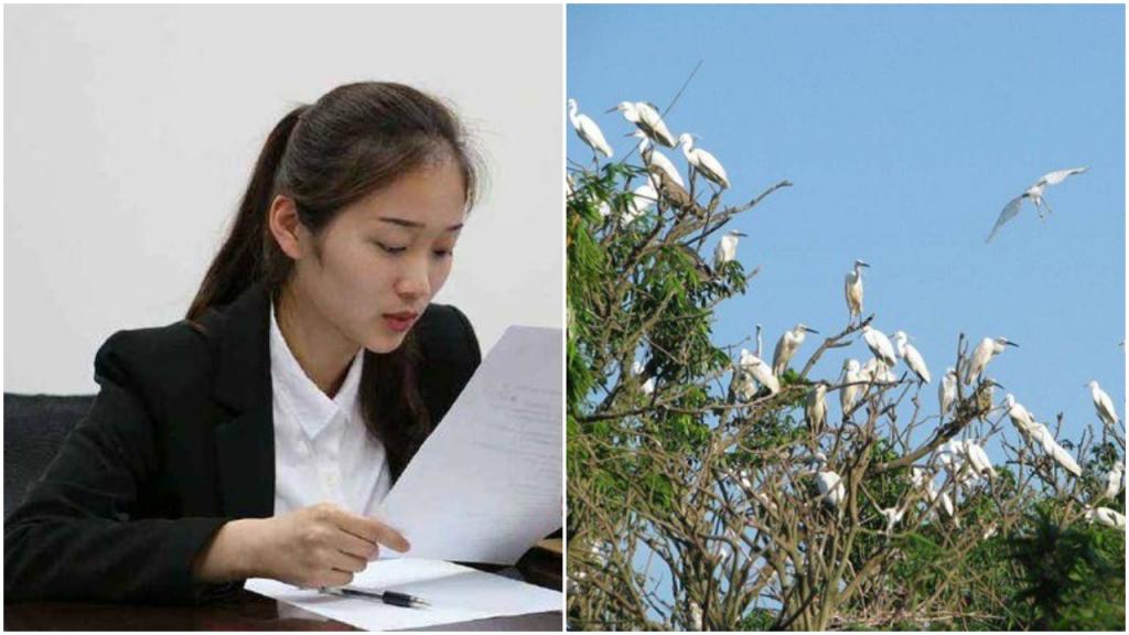 «Как поймать сто птиц, сидящих на дереве?»: ответ соискателя на вакансию очень понравился работодателю