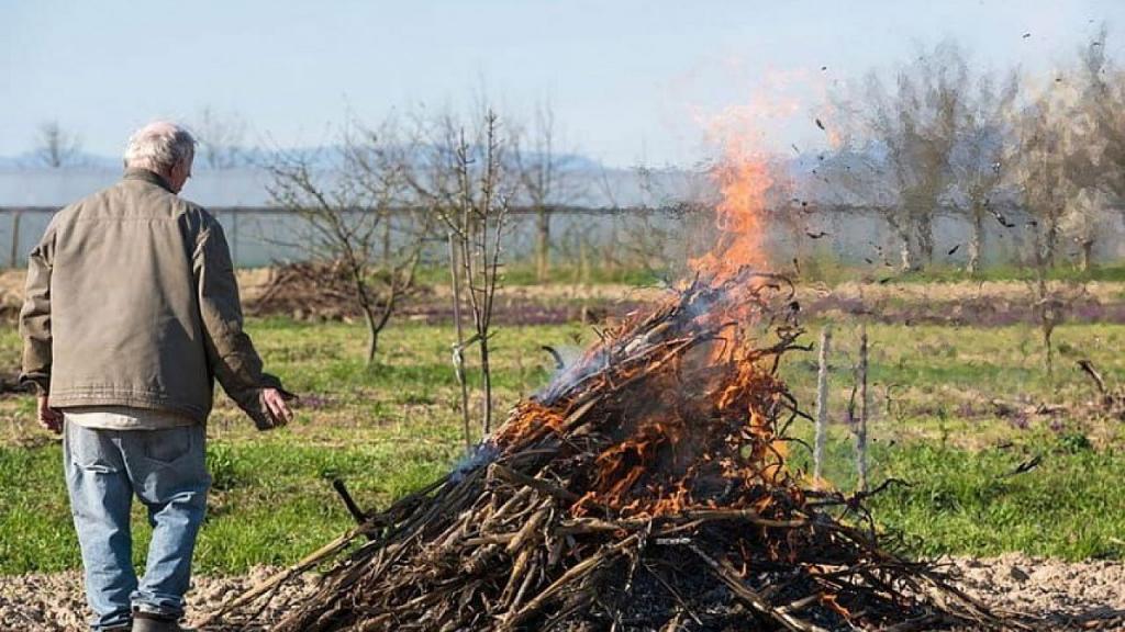 Штрафы от 1 до 5 тысяч: с 1 января россиянам будет запрещено разжигать костры на участках. Но есть случаи, которых этот запрет не касается