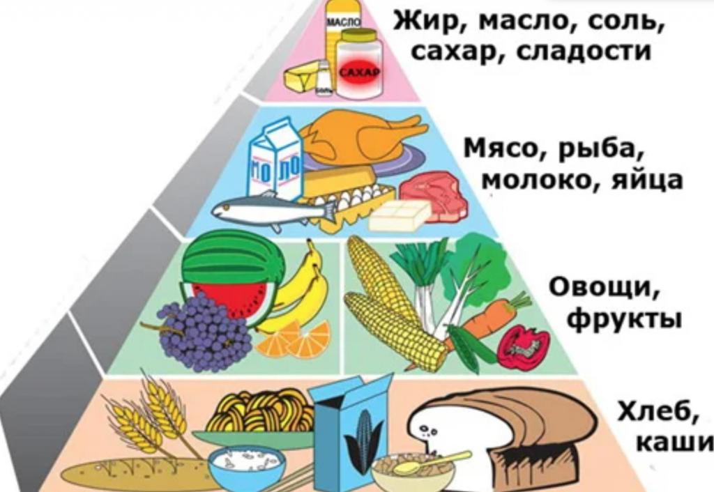 Пирамида Правильного Питания Мясо Рыба Молоко