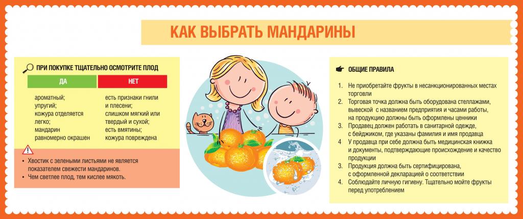 В Роспотребнадзоре создали памятку для россиян по правильному выбору и хранению мандаринов