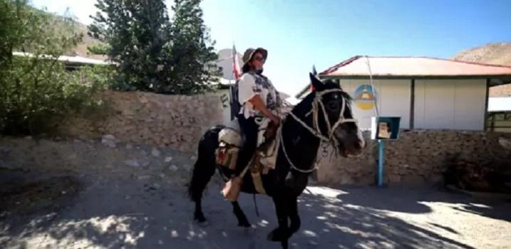 Сельская учительница в Чили ездит на лошади до восьми часов в день, чтобы заниматься с учениками в условиях изоляции