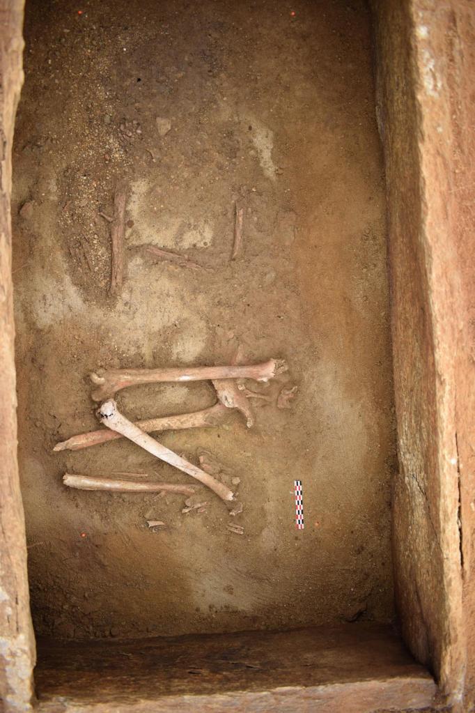 Во Франции археологи обнаружили каменный некрополь бронзового века (фото)