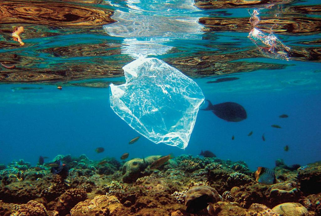 Пластик преодолевает тысячи километров за пару месяцев: как новые технологии помогают в борьбе с загрязнением планеты (исследования ученых на реке Ганг)