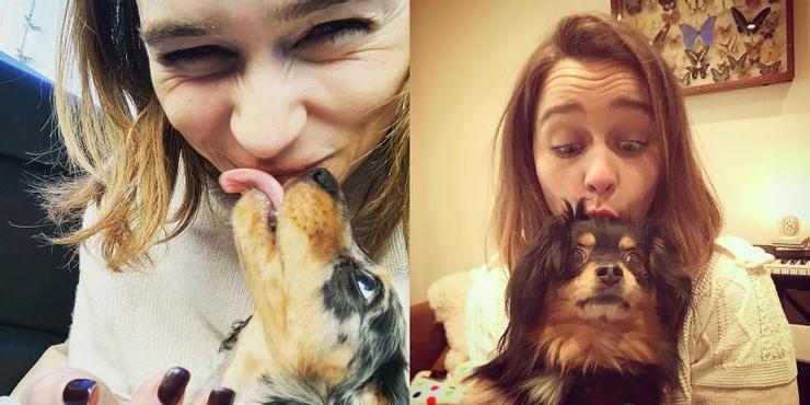 Дженнифер Энистон со своим псом: лучшие фото знаменитостей с их домашними питомцами