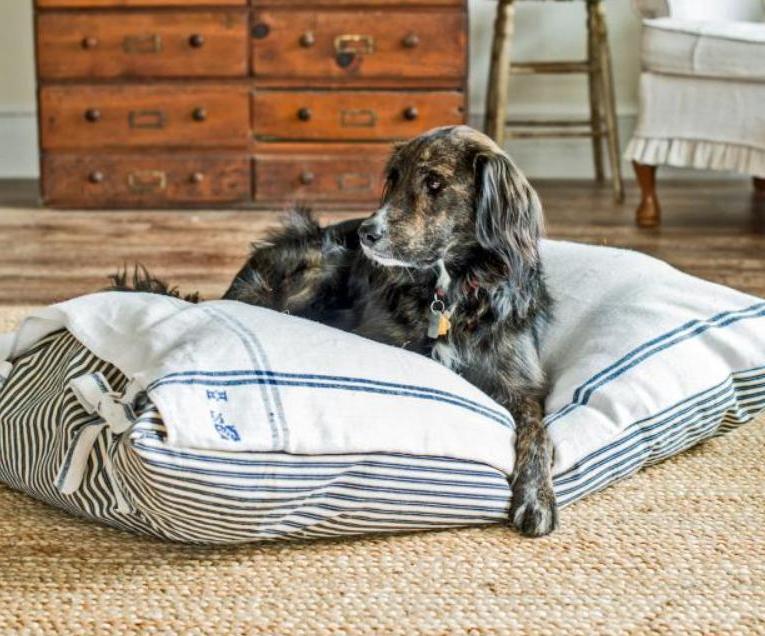 Радуем питомца новой лежанкой: мастерим для собаки мягкую кроватку на завязочках