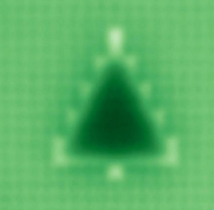 Студентка Делфтского технологического университета создала самую маленькую в мире рождественскую елку из 51 атома