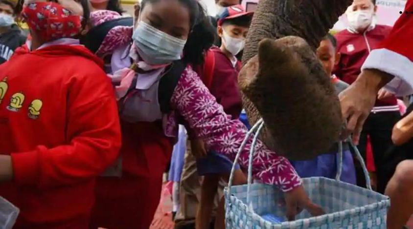 Олени пусть отдохнут: в Таиланде Санта катается на слоне и дарит маски проходящим мимо школьникам, мотоциклистам и водителям