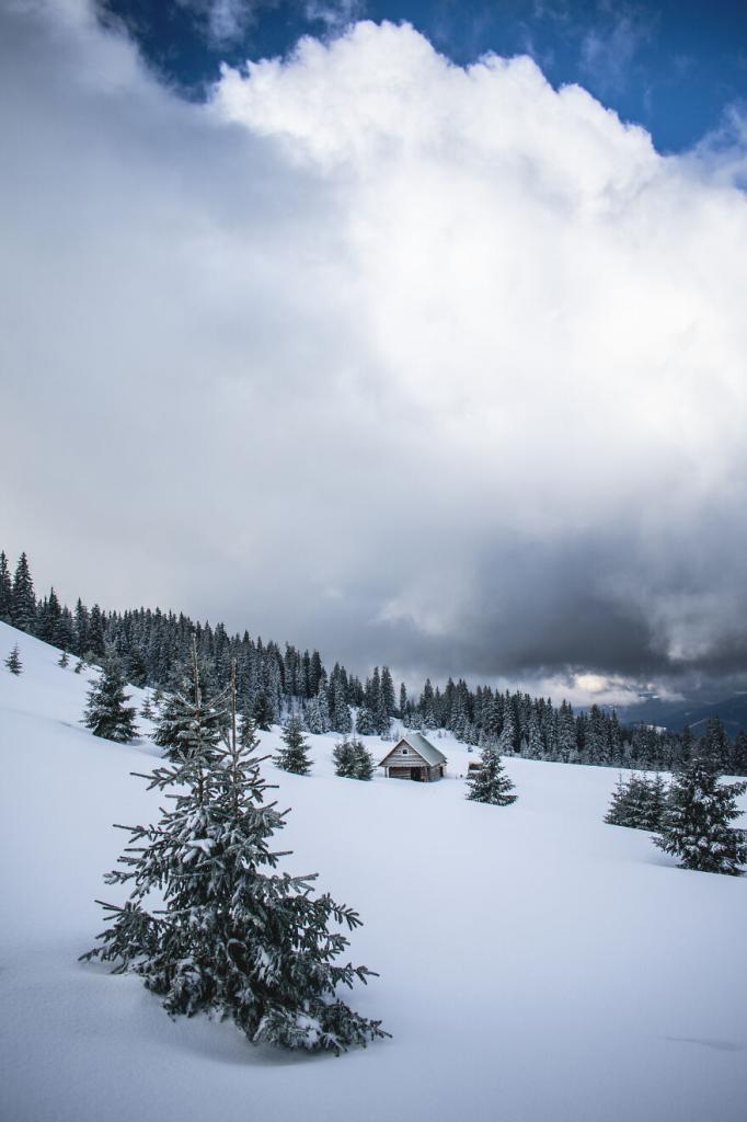 Фотограф Ольга Баландюх запечатлела невероятную зимнюю красоту зимних Карпат: 10 фото