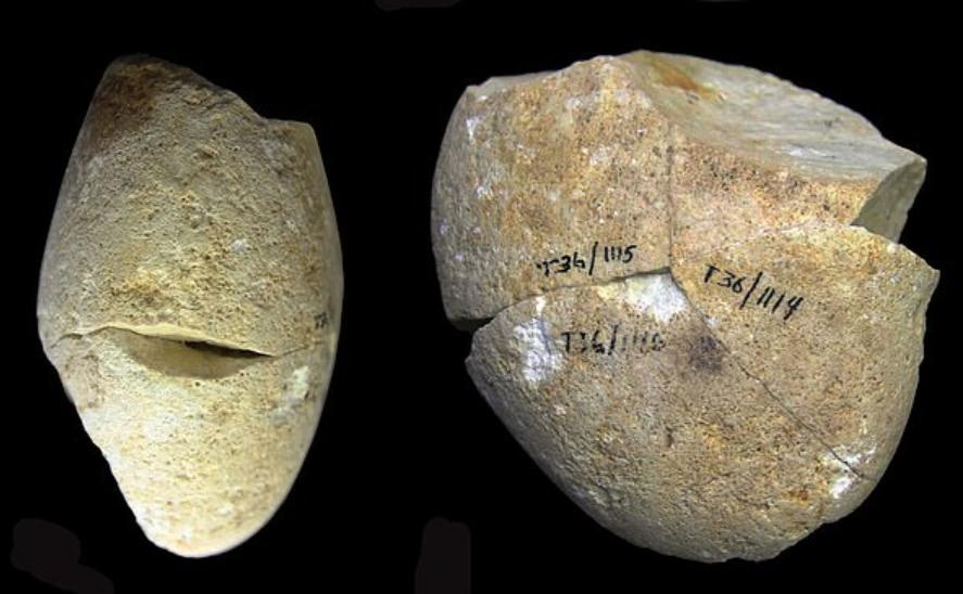 Древнейший инструмент, используемый первобытными людьми, найден в израильской пещере. Ученые из Хайфского университета считают, что ему 350 000 лет